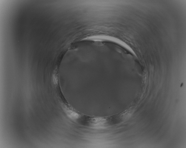 X0000070170719200606021057