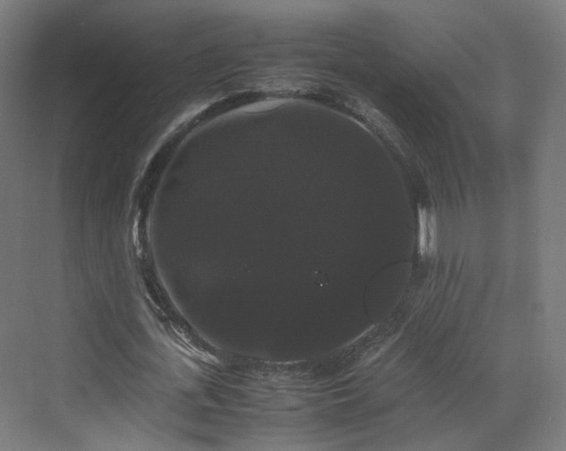 X0000070170723200606021056