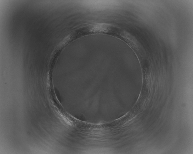 X0000070170729200606021056
