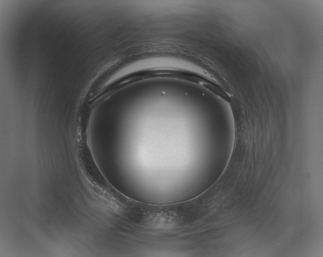 X0000070170731200606021056
