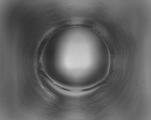 X0000070170732200606021056