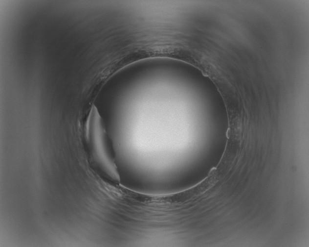 X0000070170746200606021057