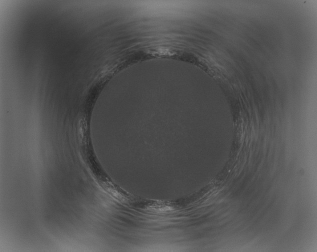 X0000070170747200606021057