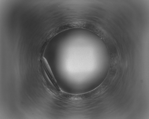 X0000070170749200606021057