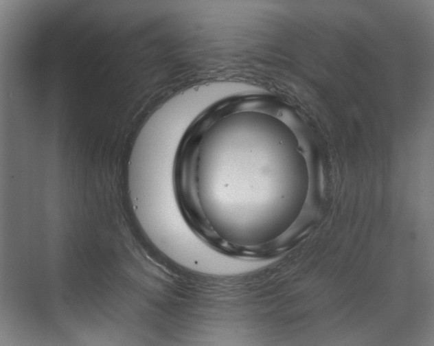 X0000070170756200606021057