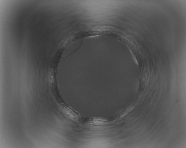 X0000070170758200606021057