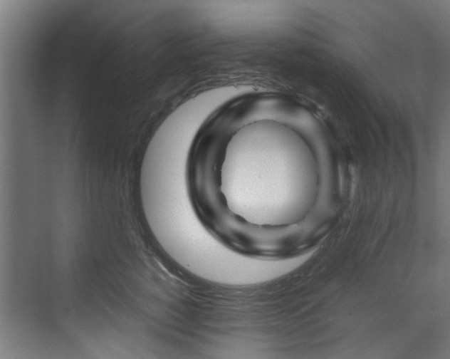 X0000070170760200606021057