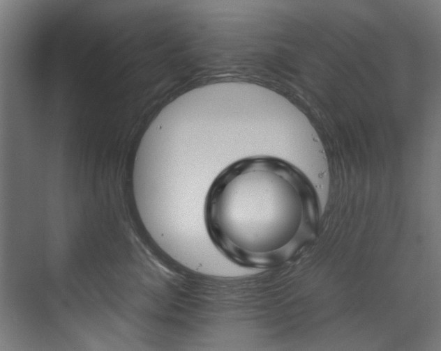 X0000070170764200606021057