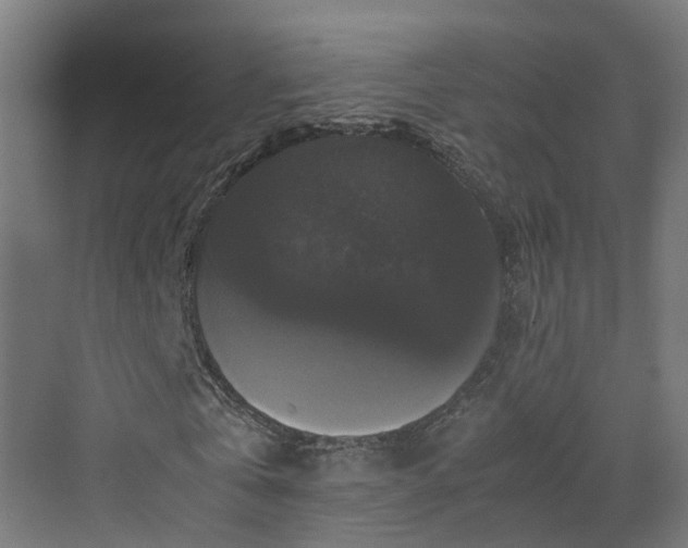 X0000070170769200606021056