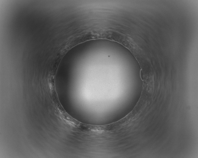 X0000070170770200606021056