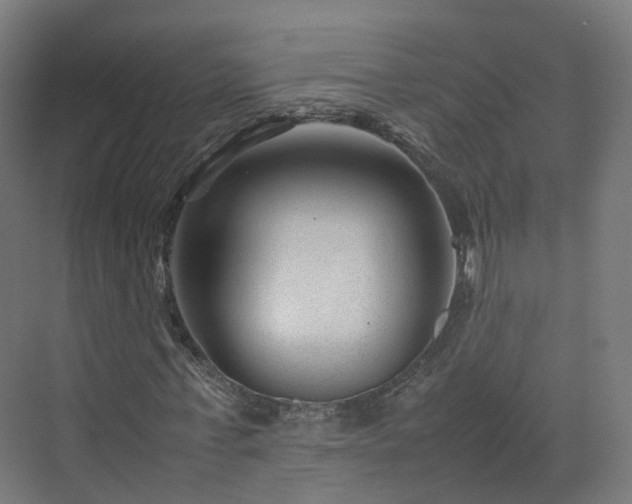 X0000070170771200606021056