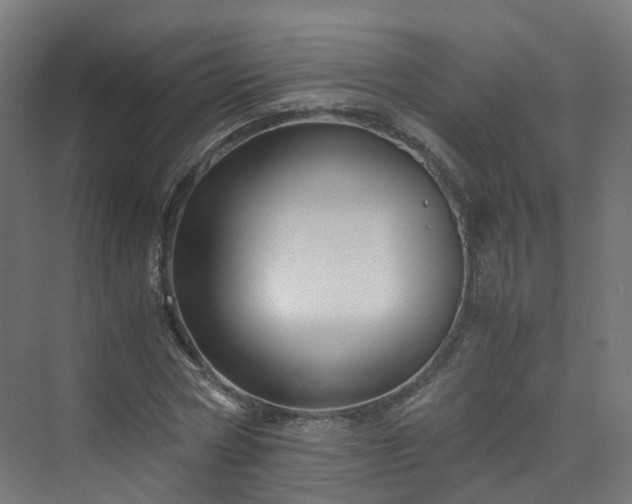 X0000070170778200606021056