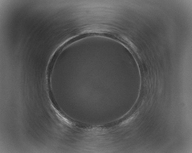X0000070170779200606021056