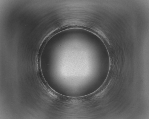 X0000070170782200606021056