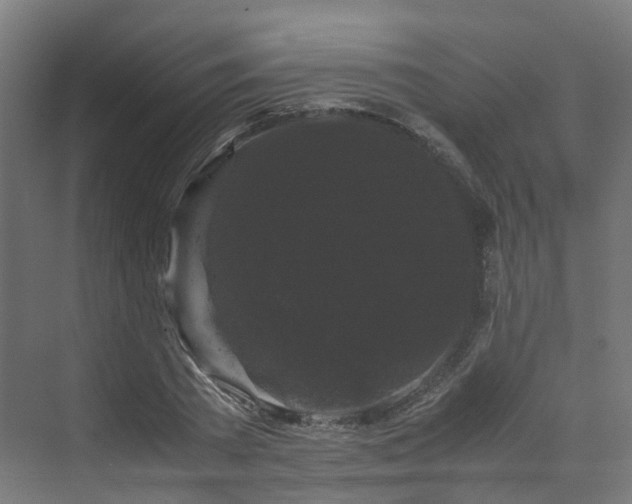 X0000070170785200606021056