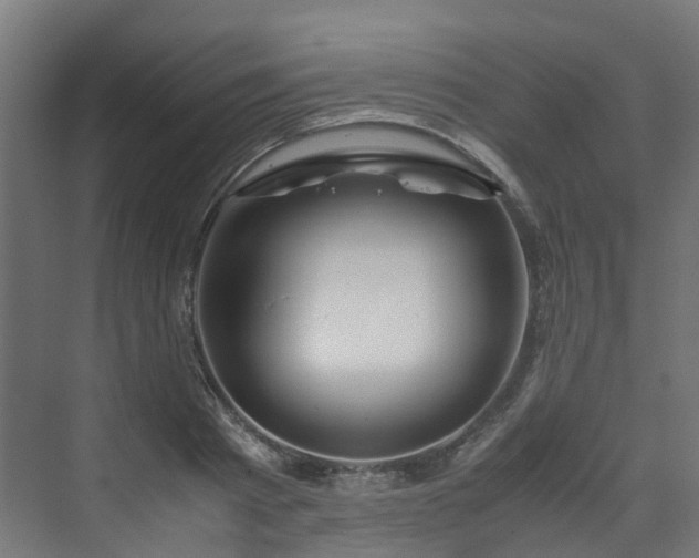 X0000070170793200606021056