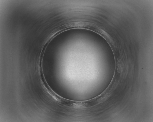 X0000070170794200606021056