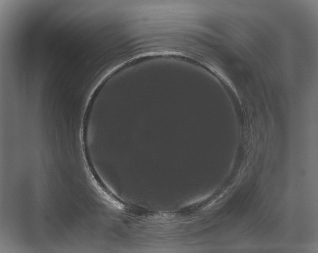 X0000070170797200606021056