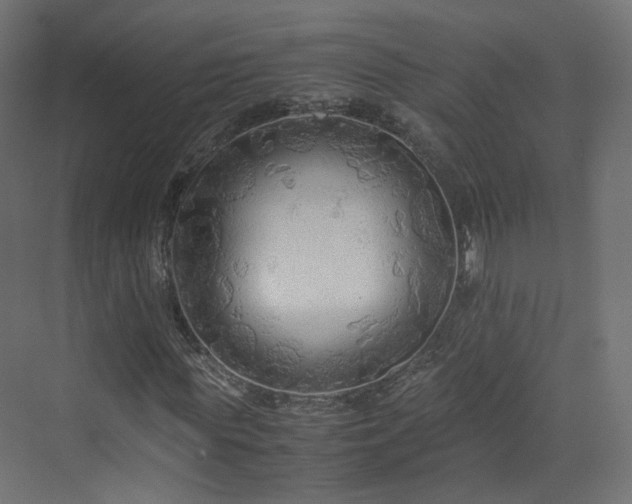 X0000070170819200606021055