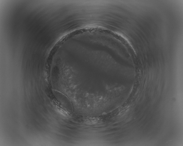 X0000070170823200606021055