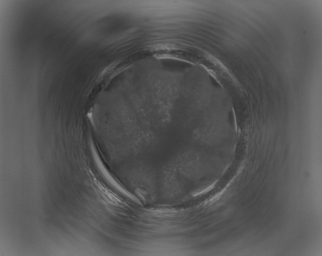 X0000070170825200606021055