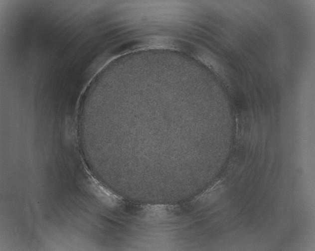X0000070170828200606021055