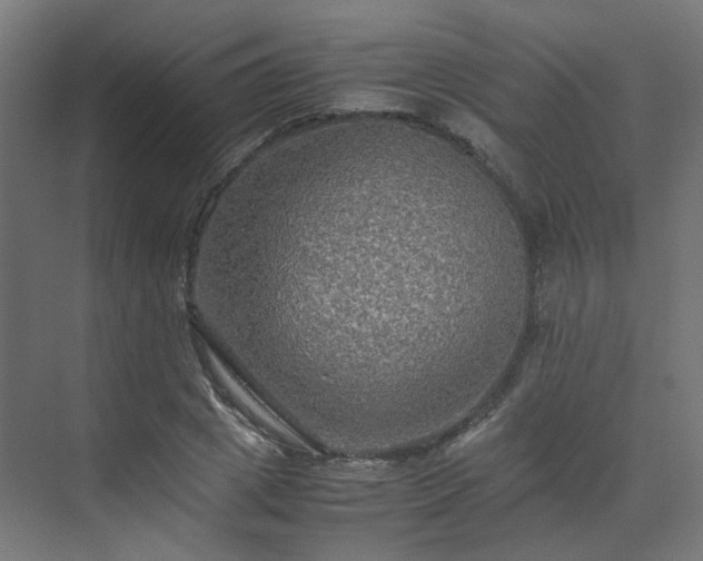 X0000070170833200606021055