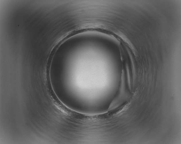 X0000070170834200606021055
