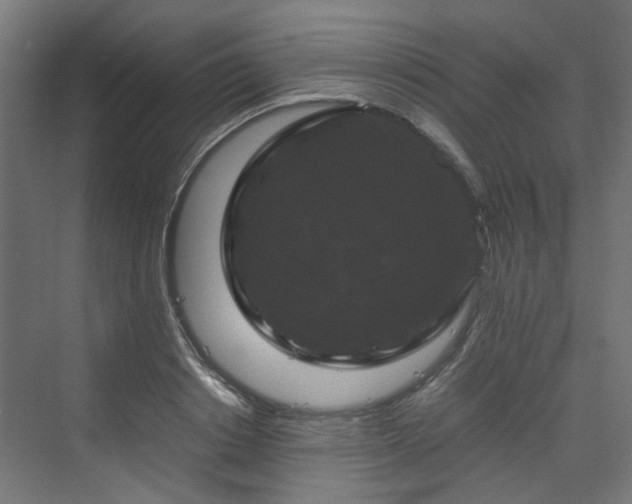 X0000070170842200606021055