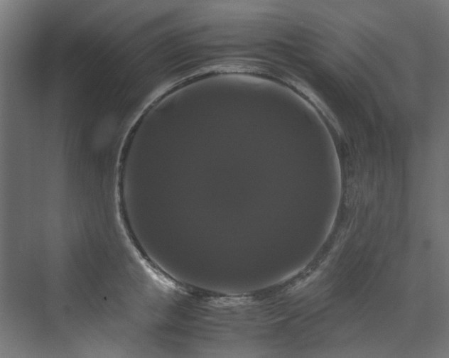 X0000070170853200606021055
