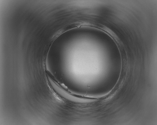 X0000070170857200606021055