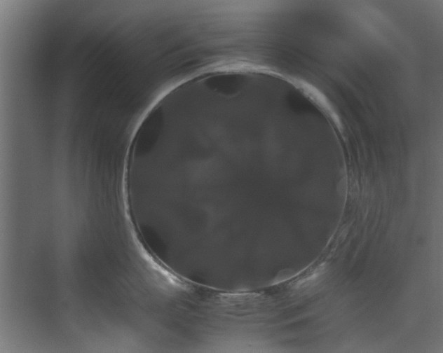 X0000070170863200606021055