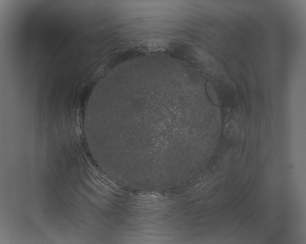 X0000070170866200606021055