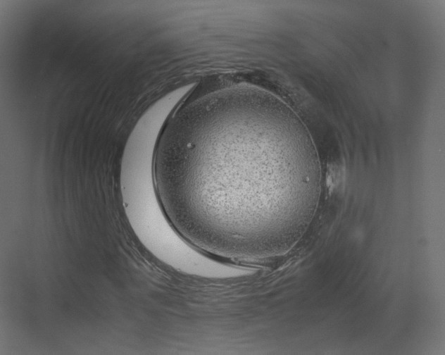 X0000070170867200606021055