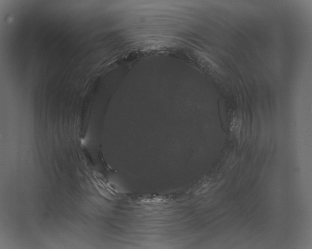 X0000070170868200606021055