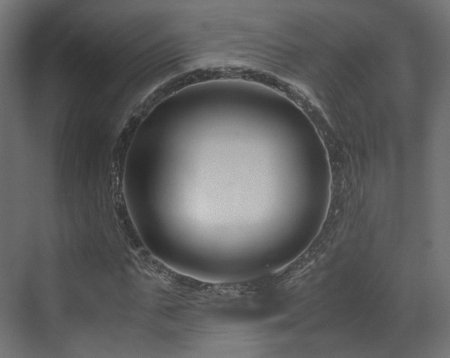 X0000070170871200606021054