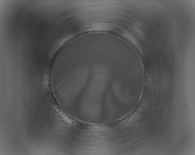 X0000070170874200606021054