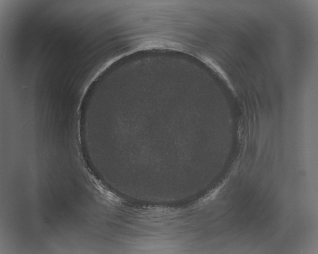 X0000070170877200606021054
