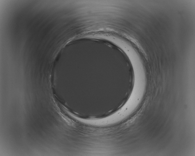 X0000070170881200606021054