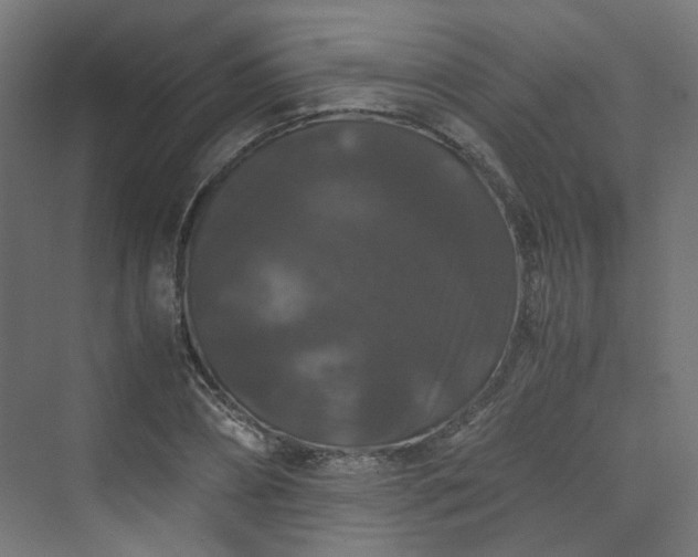 X0000070170882200606021054