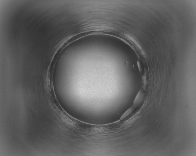 X0000070170883200606021054