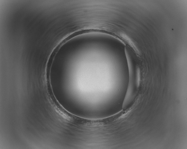 X0000070170884200606021054