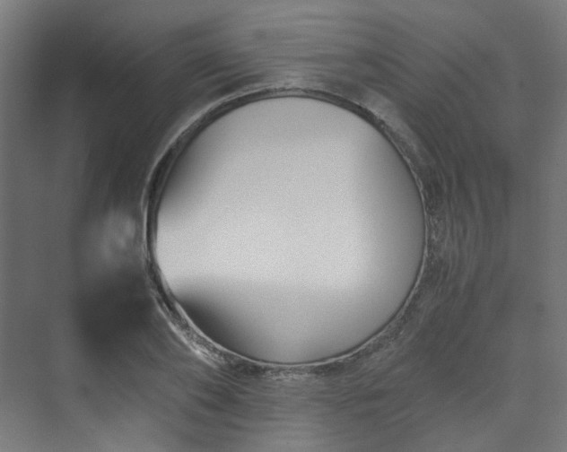 X0000070170886200606021054