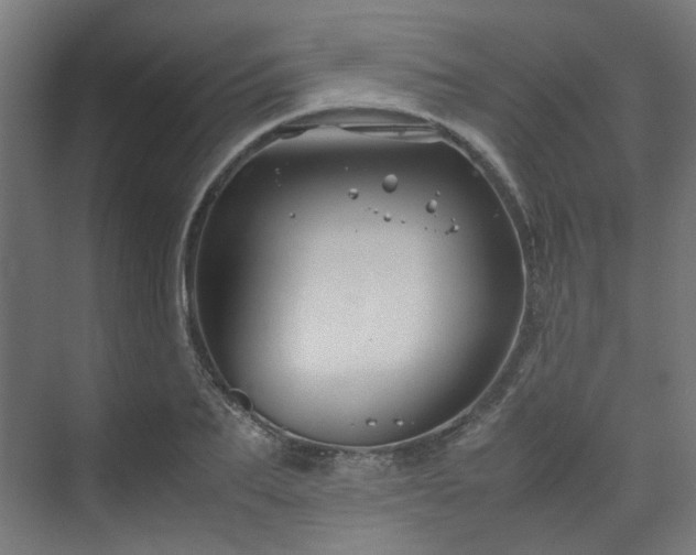 X0000070170887200606021054