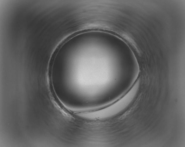 X0000070170888200606021054