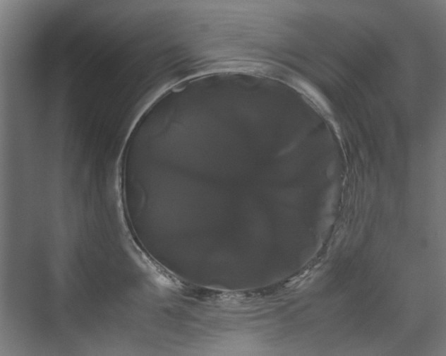X0000070170907200606021054