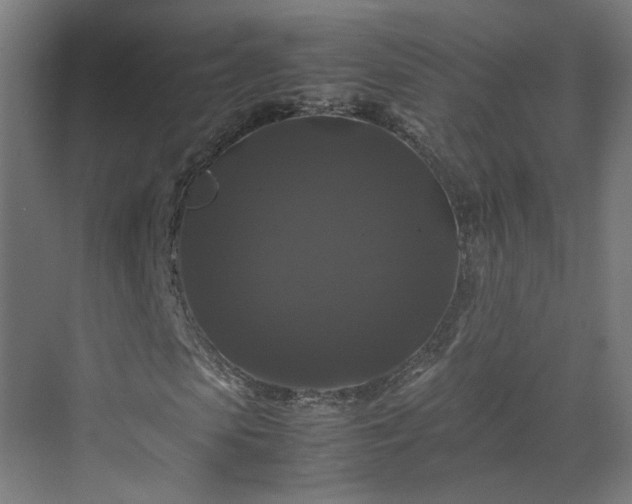 X0000070170913200606021053