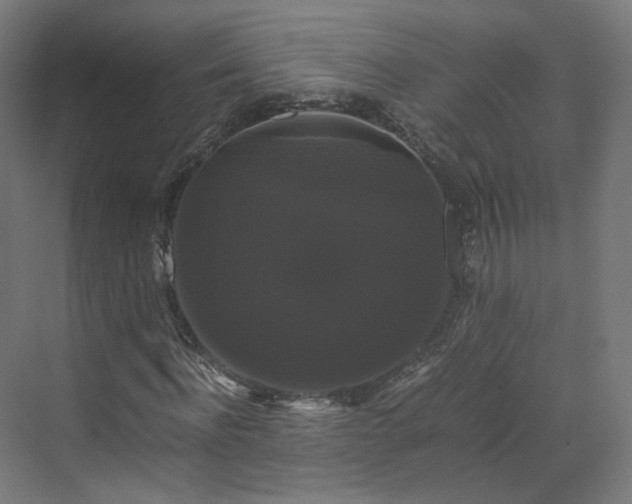 X0000070170916200606021053