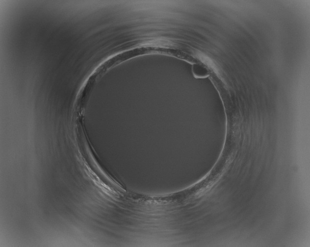 X0000070170923200606021053
