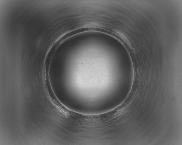 X0000070170931200606021053